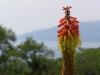 p6090059_0.jpg